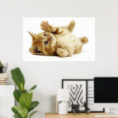 KLEINE KATZE POSTER (Heimbüro)