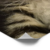 Kleine Katze Poster (Ecke)