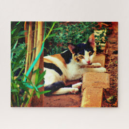 Kleine Katze Puzzle