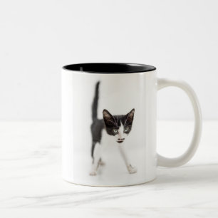Kleine Katze Zweifarbige Tasse