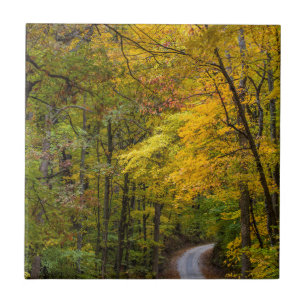 Kleine Kiesstraße gesäumt von Herbstfarben Fliese