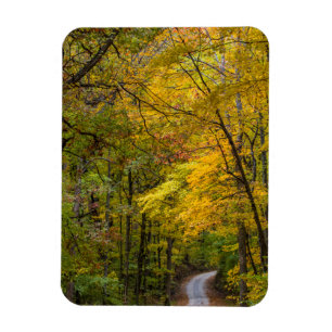 Kleine Kiesstraße gesäumt von Herbstfarben Magnet