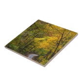 Kleine Kiesstrasse mit Herbstfarbe Fliese (Seite)