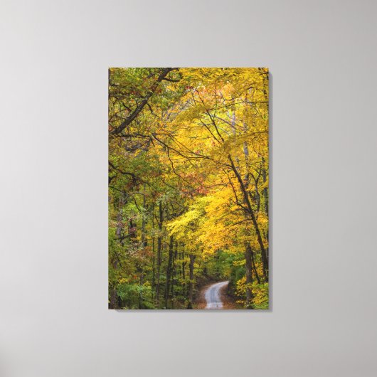 Kleine Kiesstrasse mit Herbstfarbe Leinwanddruck (Vorderseite)