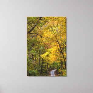 Kleine Kiesstrasse mit Herbstfarbe Leinwanddruck