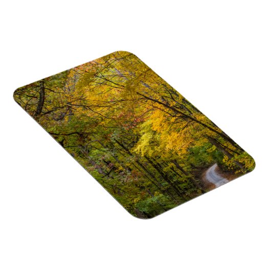 Kleine Kiesstrasse mit Herbstfarbe Magnet (Rechte Seite)