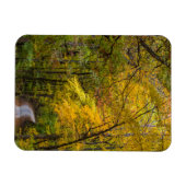 Kleine Kiesstrasse mit Herbstfarbe Magnet (Horizontal)