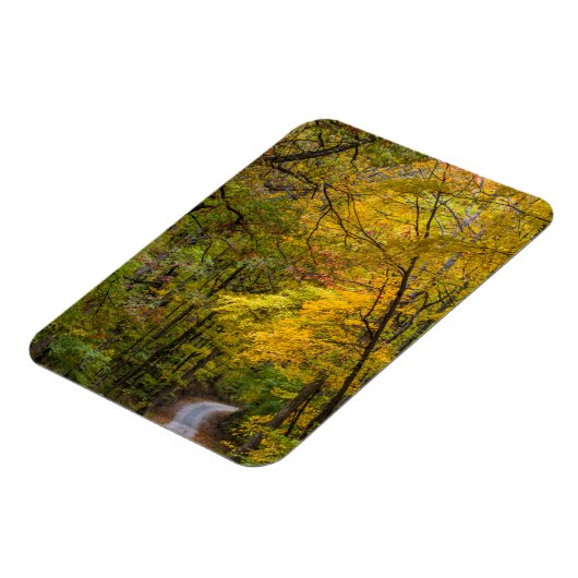 Kleine Kiesstrasse mit Herbstfarbe Magnet (Linke Seite)