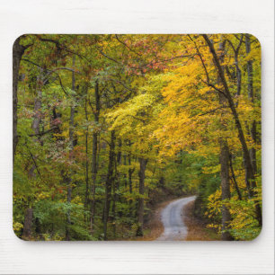 Kleine Kiesstrasse mit Herbstfarbe Mousepad