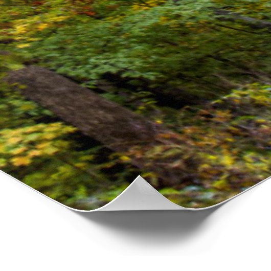 Kleine Kiesstrasse mit Herbstfarbe Poster (Ecke)