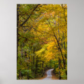 Kleine Kiesstrasse mit Herbstfarbe Poster (Vorne)