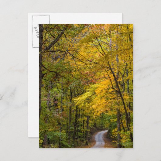 Kleine Kiesstrasse mit Herbstfarbe Postkarte (Vorne/Hinten)