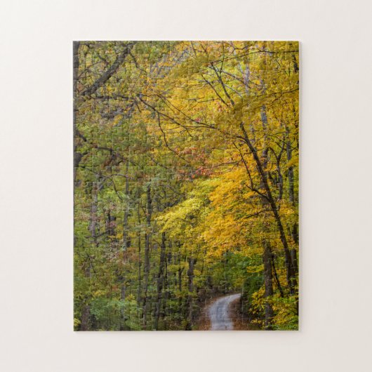 Kleine Kiesstrasse mit Herbstfarbe Puzzle (Vertikal)