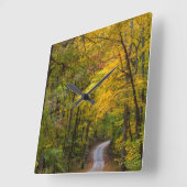 Kleine Kiesstrasse mit Herbstfarbe Quadratische Wanduhr (Winkel)