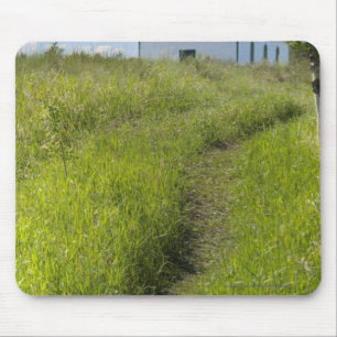 Kleine Kirche auf dem kanadischen Grasland Mousepad