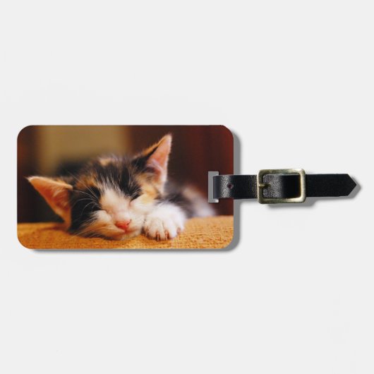 Kleine Kitesurf Gepäckanhänger (Vorderseite horizontal)