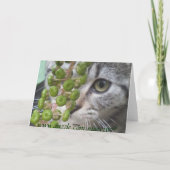 Kleine Kitten Mehrzweckkarte Karte (Rückseite)