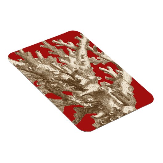 Kleine Koralle in Rot Magnet (Rechte Seite)