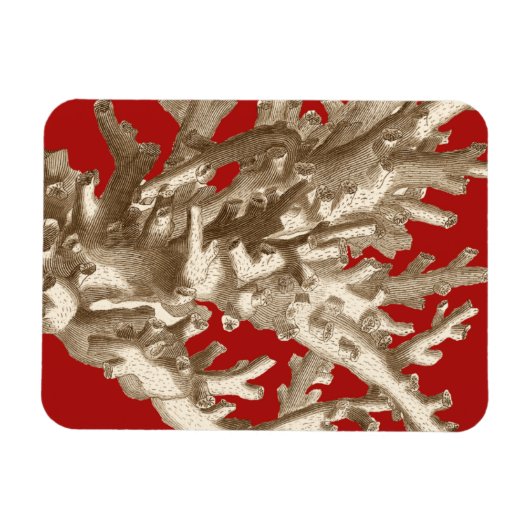 Kleine Koralle in Rot Magnet (Horizontal)