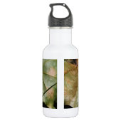 Kleine Kröte Edelstahlflasche (Rückseite)