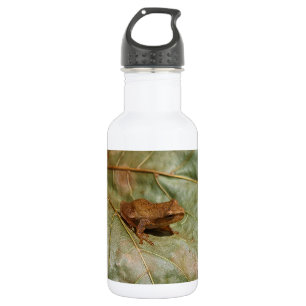 Kleine Kröte Edelstahlflasche
