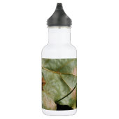 Kleine Kröte Edelstahlflasche (Rechts)