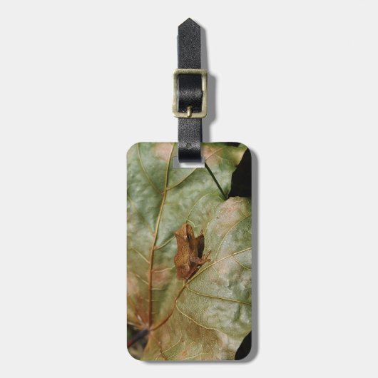 Kleine Kröte Gepäckanhänger (Vorderseite vertikal)