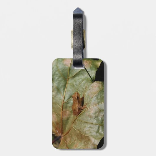 Kleine Kröte Gepäckanhänger (Rückseite vertikal)