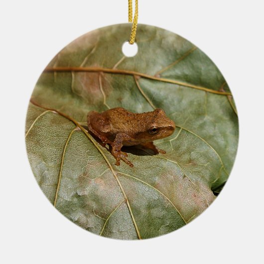 Kleine Kröte Keramik Ornament (Vorne)