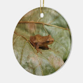 Kleine Kröte Keramik Ornament (Links)