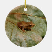 Kleine Kröte Keramik Ornament (Hinten)