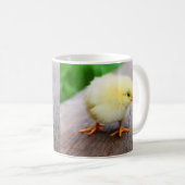 Kleine Küken Kaffeetasse (VorderseiteRechts)