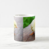 Kleine Küken Kaffeetasse (Mittel)