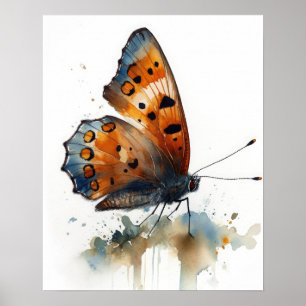 Kleine Kupfer Schmetterling Art Print Poster