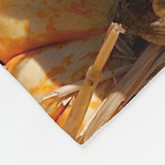 kleine Kürbis Fleecedecke (Ecke)