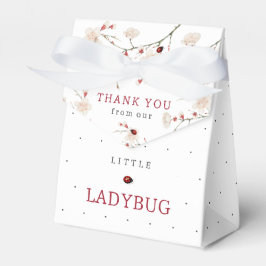 Kleine Ladybug Babydusche Geschenkschachtel