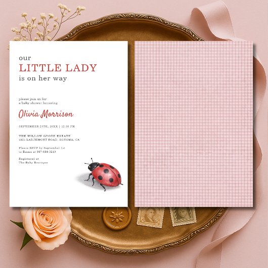 Kleine Ladybug-Gingham-Baby-Party Einladung