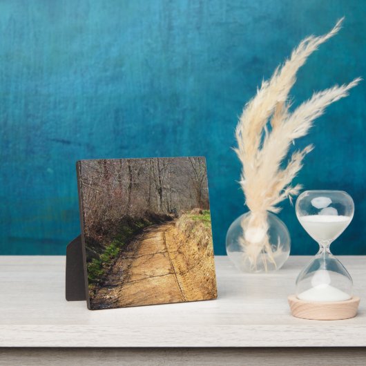 Kleine Landstraße Fotoplatte (InSitu)