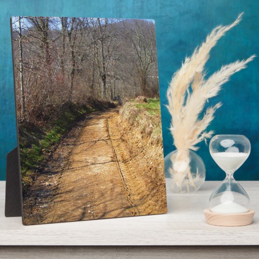 Kleine Landstraße Fotoplatte (Seite)