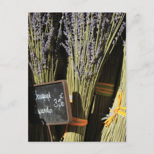 Kleine Lavendelsträuße Postkarte (Vorderseite)