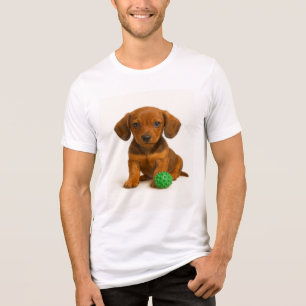 Kleine Legen, Big Toy - Dackel Pup Tri-Blend Shirt
