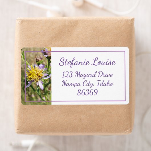 Kleine Lila Daisies (Insitu)