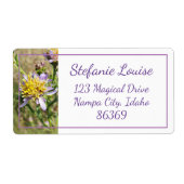 Kleine Lila Daisies (Vorne)