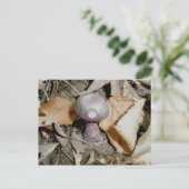 Kleine Lila Pilzpostkarte Postkarte (Stehend Vorderseite)