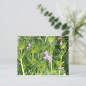 Kleine Lila Wildblumen Postkarte (Stehend Vorderseite)