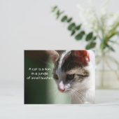 Kleine Lion Postkarte (Stehend Vorderseite)