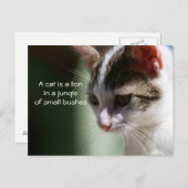 Kleine Lion Postkarte (Vorne/Hinten)