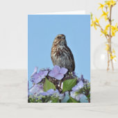 Kleine Longbird-Grußkarte Karte (Gelbe Blume)