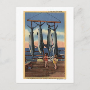 Kleine Mädchen mit Blick auf den Schwertfisch Postkarte