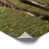 Kleine Mädchen reiten Pferde Poster (Ecke)